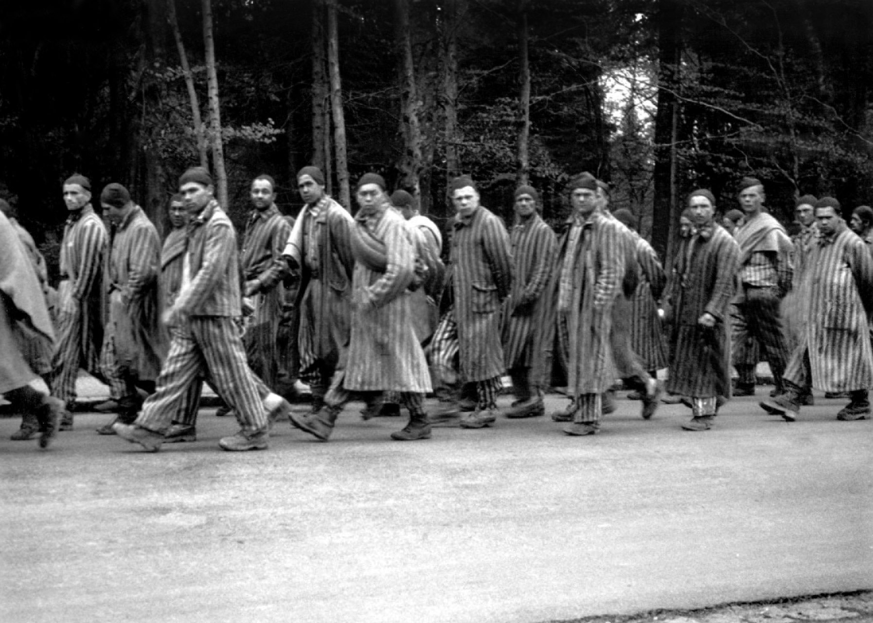 Auschwitz-Birkenau death march survivors